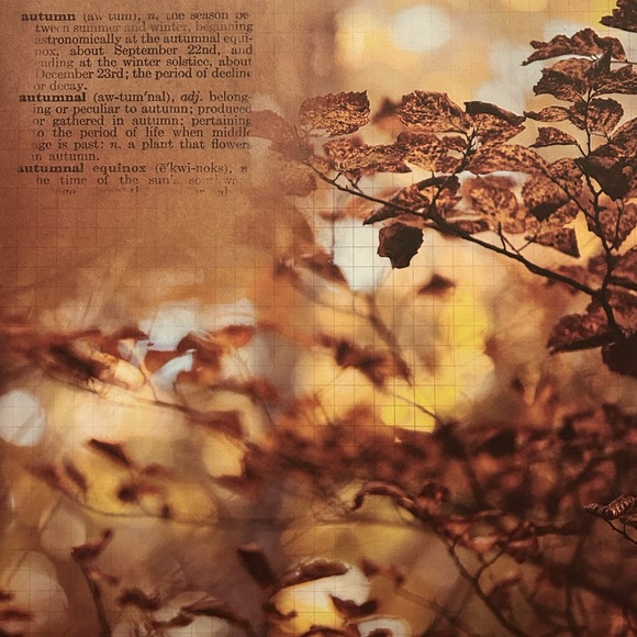 Fall Scrapbook Paper! Beautiful Autumn Colors! 12x12 Premium Card Stock! - Picture 10 of 12